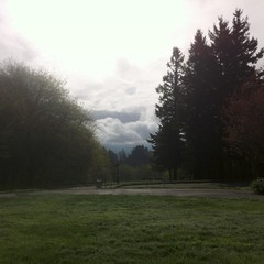 View from Council Crest toward Mt. Hood, which is NOT visible
