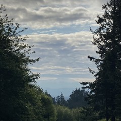 View from Council Crest toward Mt. Hood, which is visible
