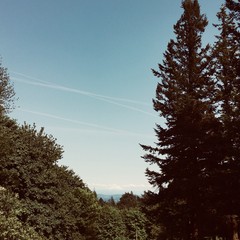 View from Council Crest toward Mt. Hood, which is visible