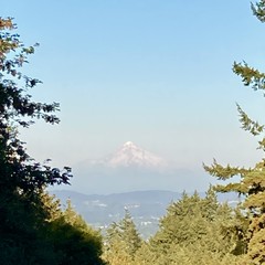 View from Council Crest toward Mt. Hood, which is visible