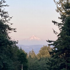 View from Council Crest toward Mt. Hood, which is visible