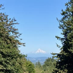 View from Council Crest toward Mt. Hood, which is visible
