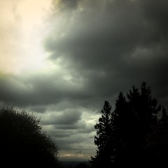 View from Council Crest toward Mt. Hood, which is NOT visible