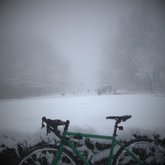 View from Council Crest toward Mt. Hood, which is NOT visible
