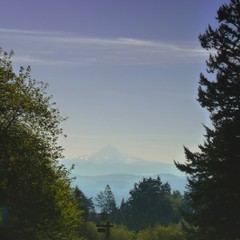 View from Council Crest toward Mt. Hood, which is visible
