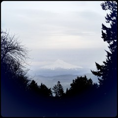 View from Council Crest toward Mt. Hood, which is visible