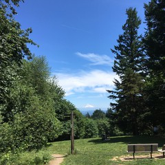 View from Council Crest toward Mt. Hood, which is visible