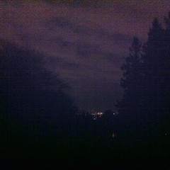 View from Council Crest toward Mt. Hood, which is NOT visible