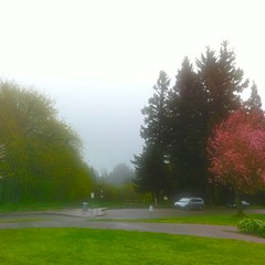 View from Council Crest toward Mt. Hood, which is NOT visible