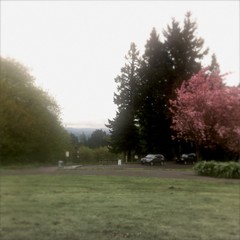 View from Council Crest toward Mt. Hood, which is NOT visible