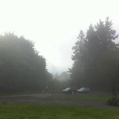 View from Council Crest toward Mt. Hood, which is NOT visible