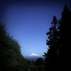 View from Council Crest toward Mt. Hood, which is visible