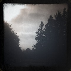 View from Council Crest toward Mt. Hood, which is NOT visible