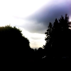 View from Council Crest toward Mt. Hood, which is NOT visible