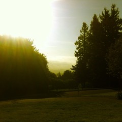 View from Council Crest toward Mt. Hood, which is NOT visible