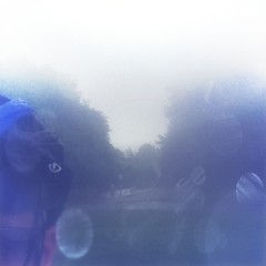 View from Council Crest toward Mt. Hood, which is NOT visible