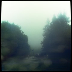 View from Council Crest toward Mt. Hood, which is NOT visible