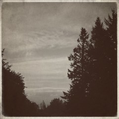 View from Council Crest toward Mt. Hood, which is NOT visible
