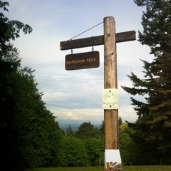 View from Council Crest toward Mt. Hood, which is visible