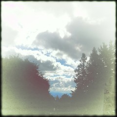 View from Council Crest toward Mt. Hood, which is NOT visible
