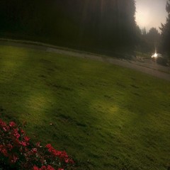 View from Council Crest toward Mt. Hood, which is NOT visible