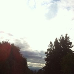 View from Council Crest toward Mt. Hood, which is NOT visible