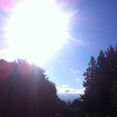 View from Council Crest toward Mt. Hood, which is NOT visible