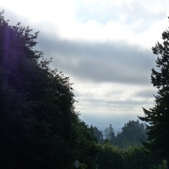 View from Council Crest toward Mt. Hood, which is NOT visible