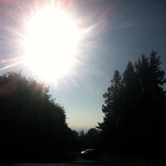 View from Council Crest toward Mt. Hood, which is NOT visible