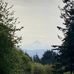 View from Council Crest toward Mt. Hood, which is visible