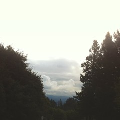 View from Council Crest toward Mt. Hood, which is NOT visible