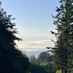 View from Council Crest toward Mt. Hood, which is visible