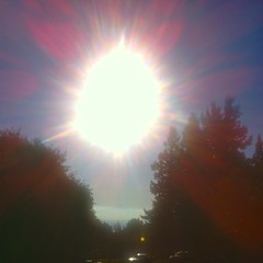 View from Council Crest toward Mt. Hood, which is visible