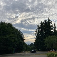 View from Council Crest toward Mt. Hood, which is visible