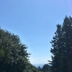View from Council Crest toward Mt. Hood, which is visible