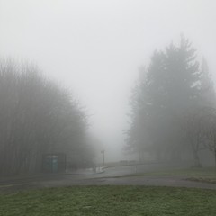 View from Council Crest toward Mt. Hood, which is NOT visible