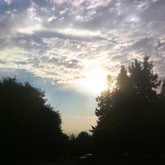 View from Council Crest toward Mt. Hood, which is NOT visible