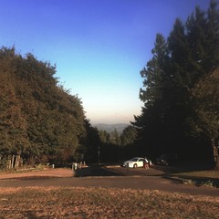 View from Council Crest toward Mt. Hood, which is visible