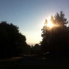 View from Council Crest toward Mt. Hood, which is NOT visible