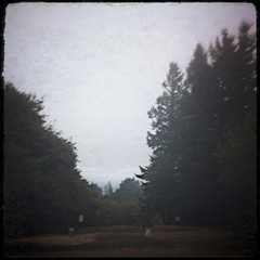 View from Council Crest toward Mt. Hood, which is NOT visible