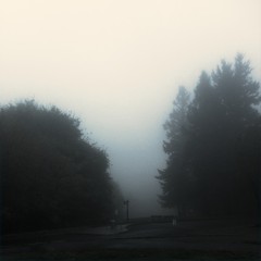 View from Council Crest toward Mt. Hood, which is NOT visible