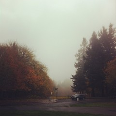 View from Council Crest toward Mt. Hood, which is NOT visible