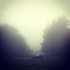 View from Council Crest toward Mt. Hood, which is NOT visible