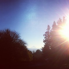 View from Council Crest toward Mt. Hood, which is visible