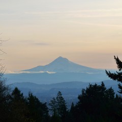 View from Council Crest toward Mt. Hood, which is visible
