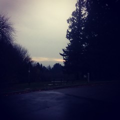 View from Council Crest toward Mt. Hood, which is visible