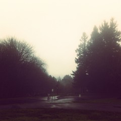 View from Council Crest toward Mt. Hood, which is NOT visible