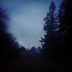 View from Council Crest toward Mt. Hood, which is NOT visible
