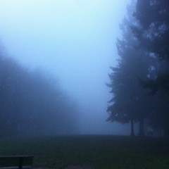 View from Council Crest toward Mt. Hood, which is NOT visible