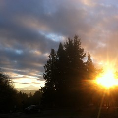 View from Council Crest toward Mt. Hood, which is visible